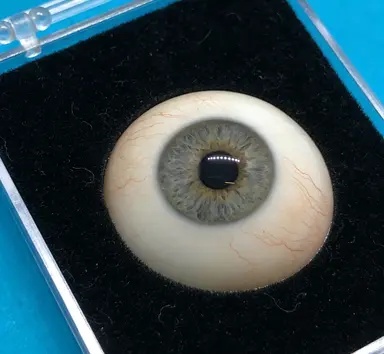 专业义眼定制工作室